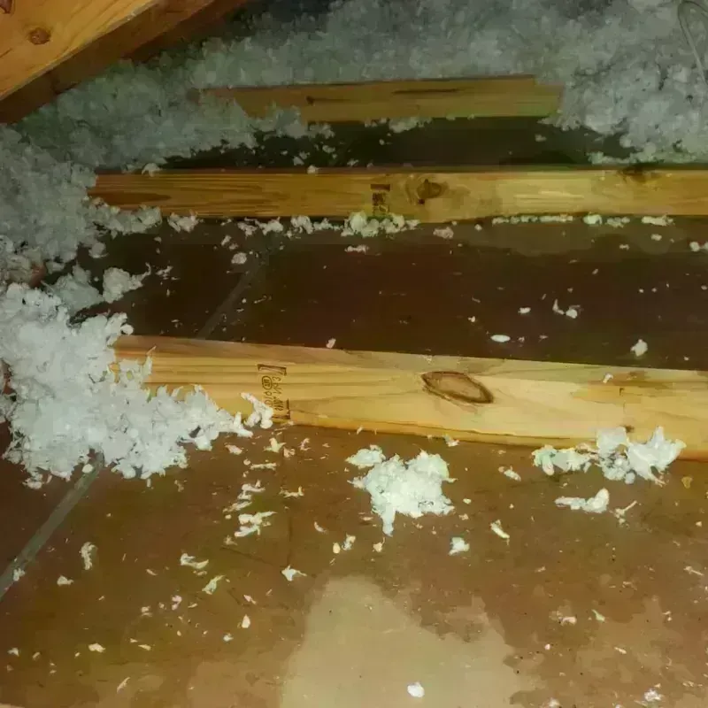 Attic Water Damage in Chewelah, WA